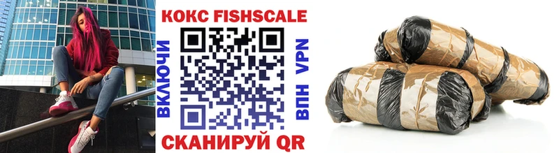 COCAIN Fish Scale Зеленокумск
