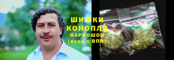 спиды Инсар