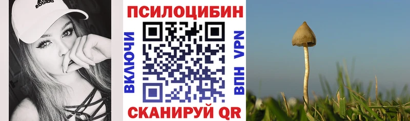 Псилоцибиновые грибы Psilocybe  закладка  Зеленокумск 