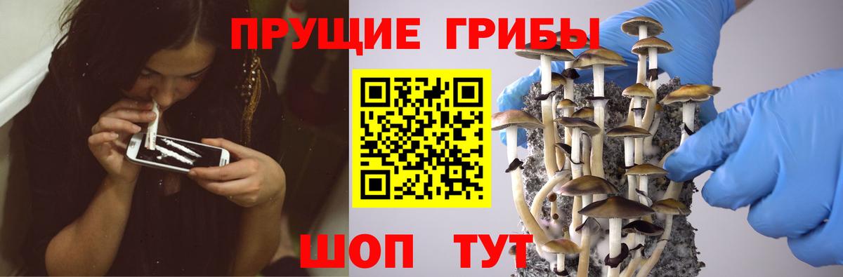 Зеленокумск  Псилоцибиновые грибы прущие грибы  Вход с VPN 